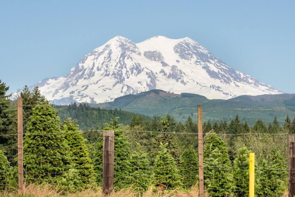 Chalet R & R At Mt. Rainier *